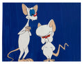 Pinky And The Brain
