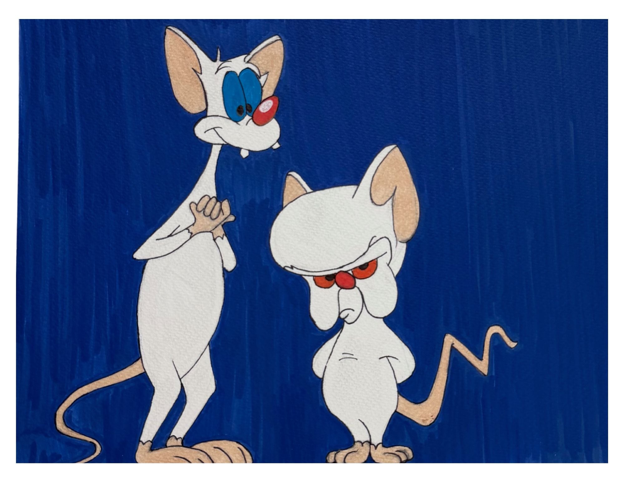 Pinky And The Brain